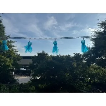 お久しぶりです(^^)